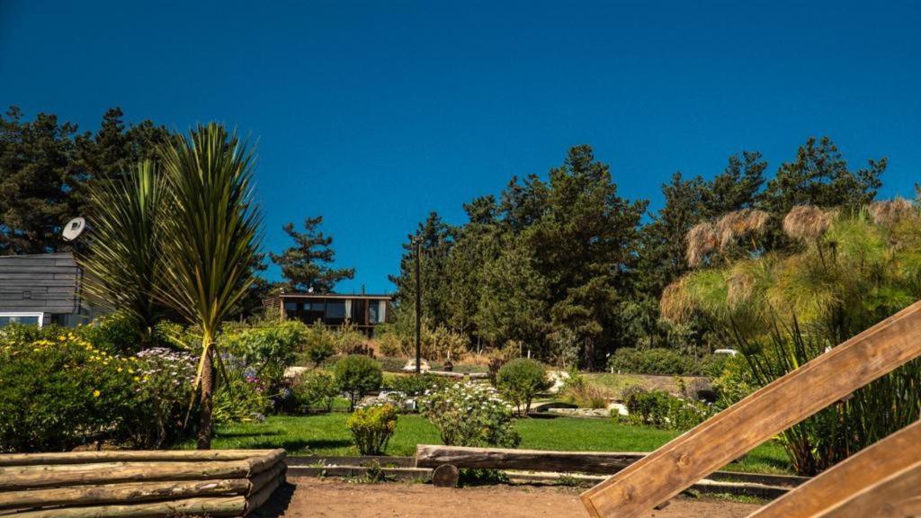 Curi Lodge Pichilemu Bagian luar foto